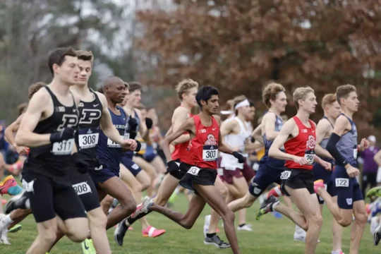 Images of the Week November 18th-24th