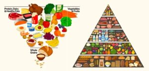 New Food Pyramid, Who Dis? Thumbnail