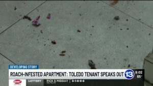 Roach-infested apartment: Toledo tenant speaks out Thumbnail