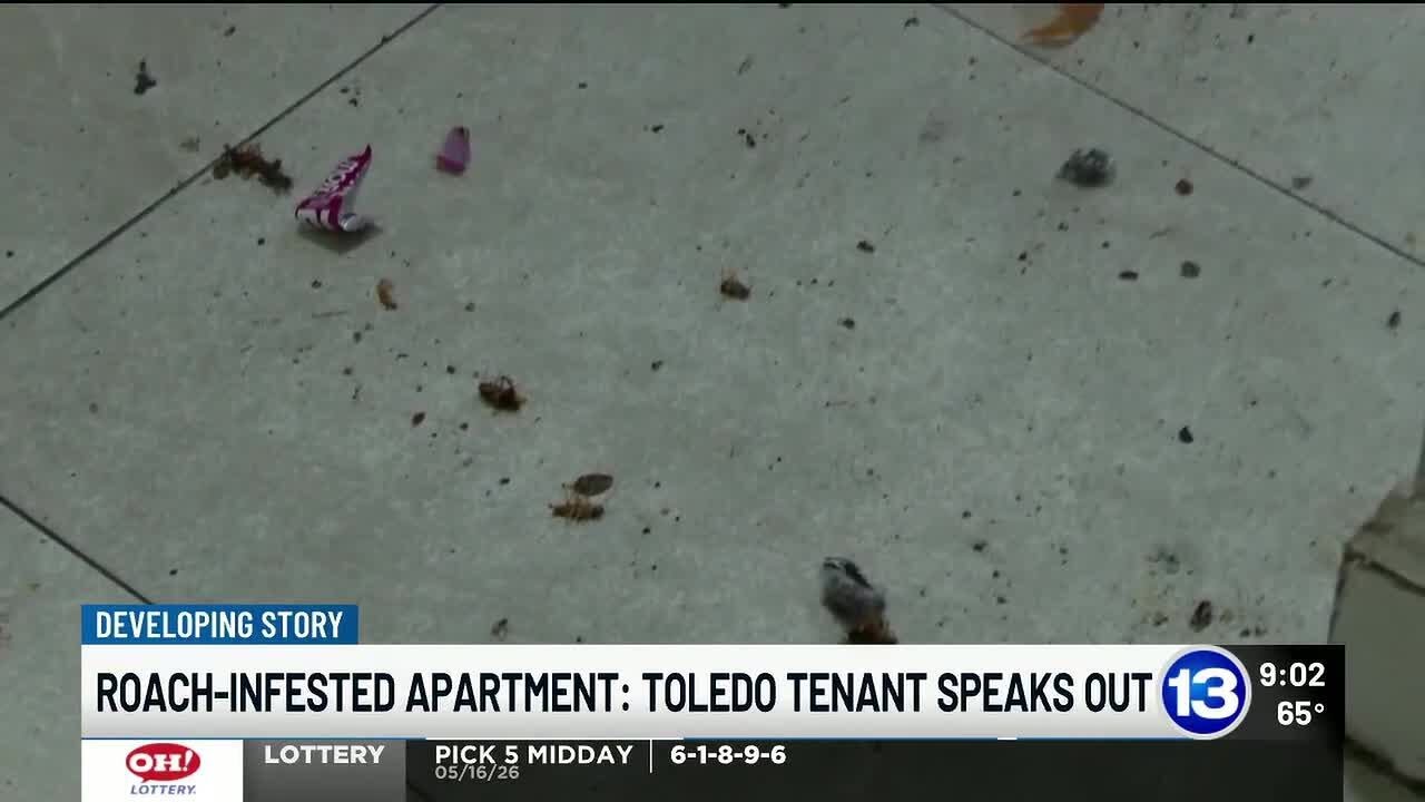 Roach-infested apartment: Toledo tenant speaks out