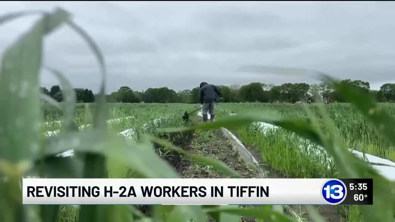 H-2A visa workers return to Tiffin farm after delays