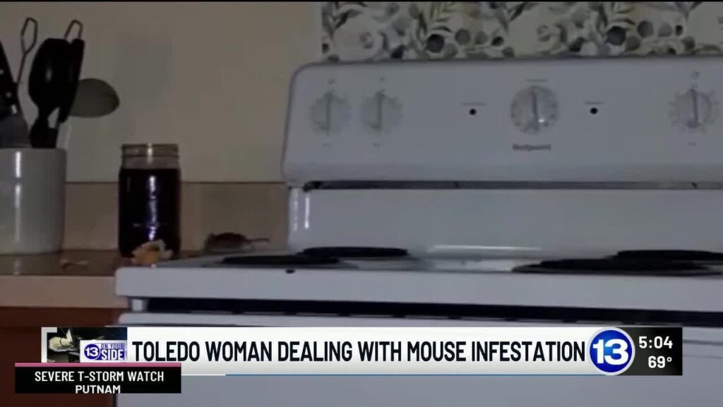 Toledo woman says mouse infestation persists despite pest control visits at Southgate Woods apart…