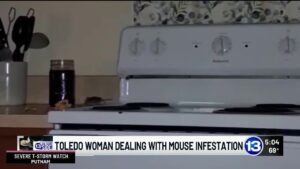 Toledo woman says mouse infestation persists despite pest control visits at Southgate Woods apart…
