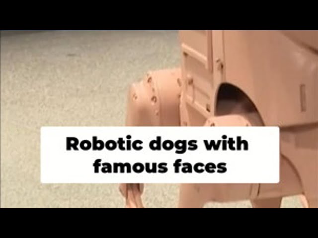 Robot dogs with famous faces: Artist creates interesting message about advances in AI and robotics