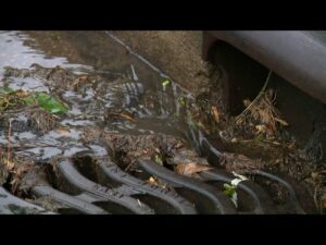 Residents in west Toledo neighborhood frustrated after repeated flood damages