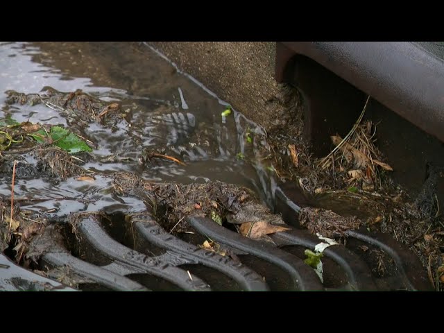 Residents in west Toledo neighborhood frustrated after repeated flood damages